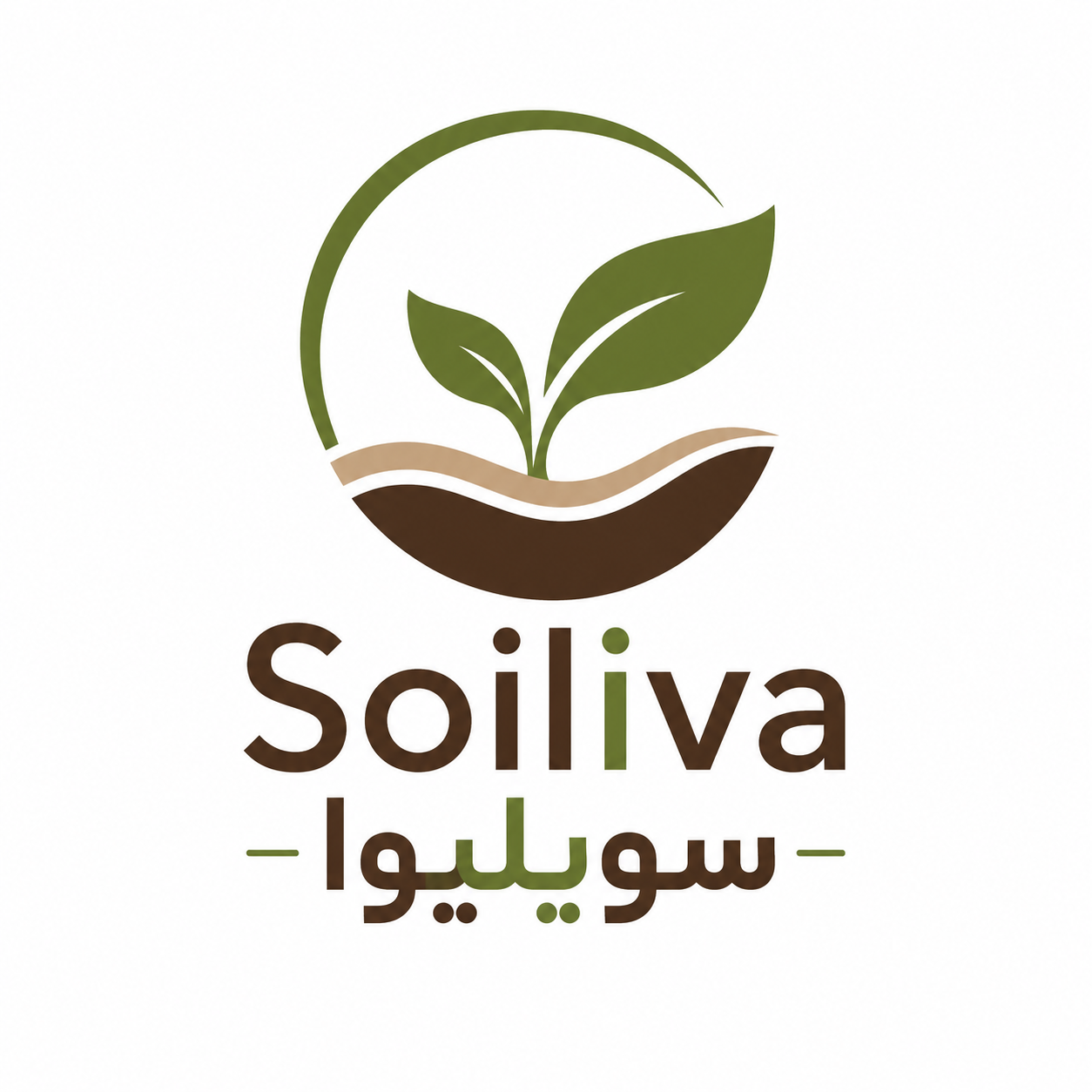 سویلیوا | خشکبار محلی